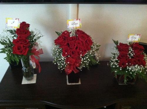 298706_10150325068420914_675875913_8170503_1759043302_n (1)