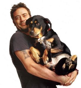 tumblr_lo3rv7ECOD1qb8ello1_500