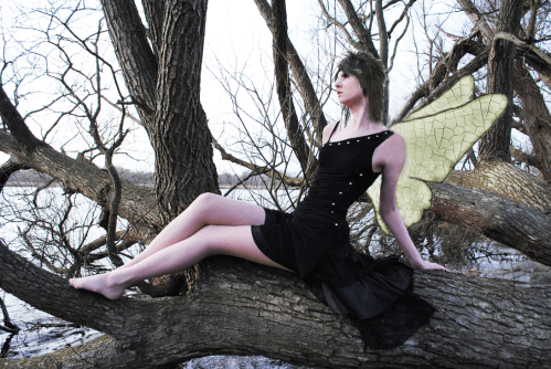 color dark haired fairy)