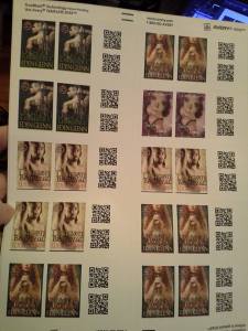 1511109_10203587277272333_4882607554067286344_n